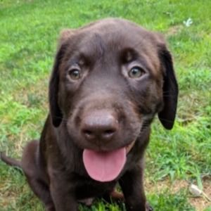 Meet your Posher, Madison